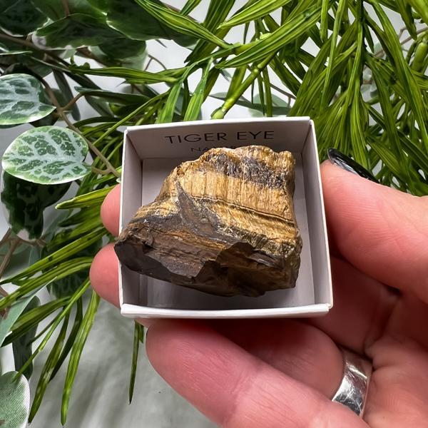 OCCHIO DI TIGRE ROUGH BOX PIETRA GREZZA NATURALE MISURA MEDIA